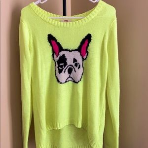 Cute dog sweater
